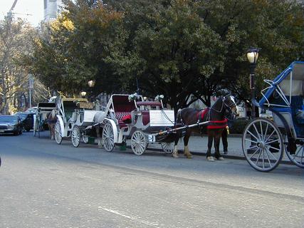 Horse-drawn carriages in Central Park<br>Location: <a href="https://www.google.com/maps/search/?api=1&query=40.7651,-73.97307" target="_new">Southeast entrance (I think), Central Park</a>